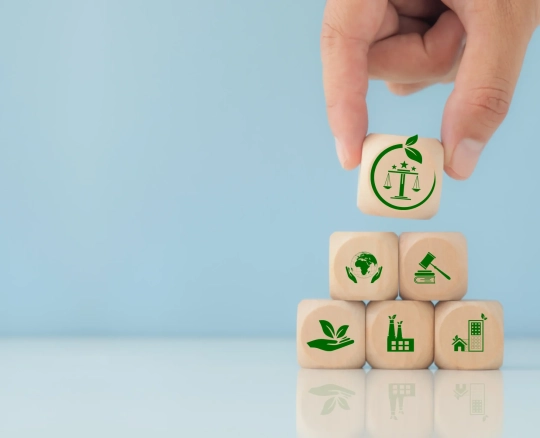 AdobeStock_646289982